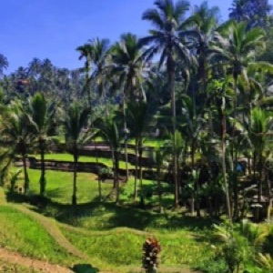 Bali sud, côte ouest : Kuta, Jimbaran et Uluwatu. Un juste milieu entre spiritualité des locaux et surtourisme 🫠.#bali #Indonesia